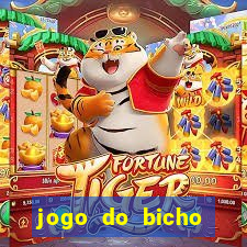 jogo do bicho banca ouro verde